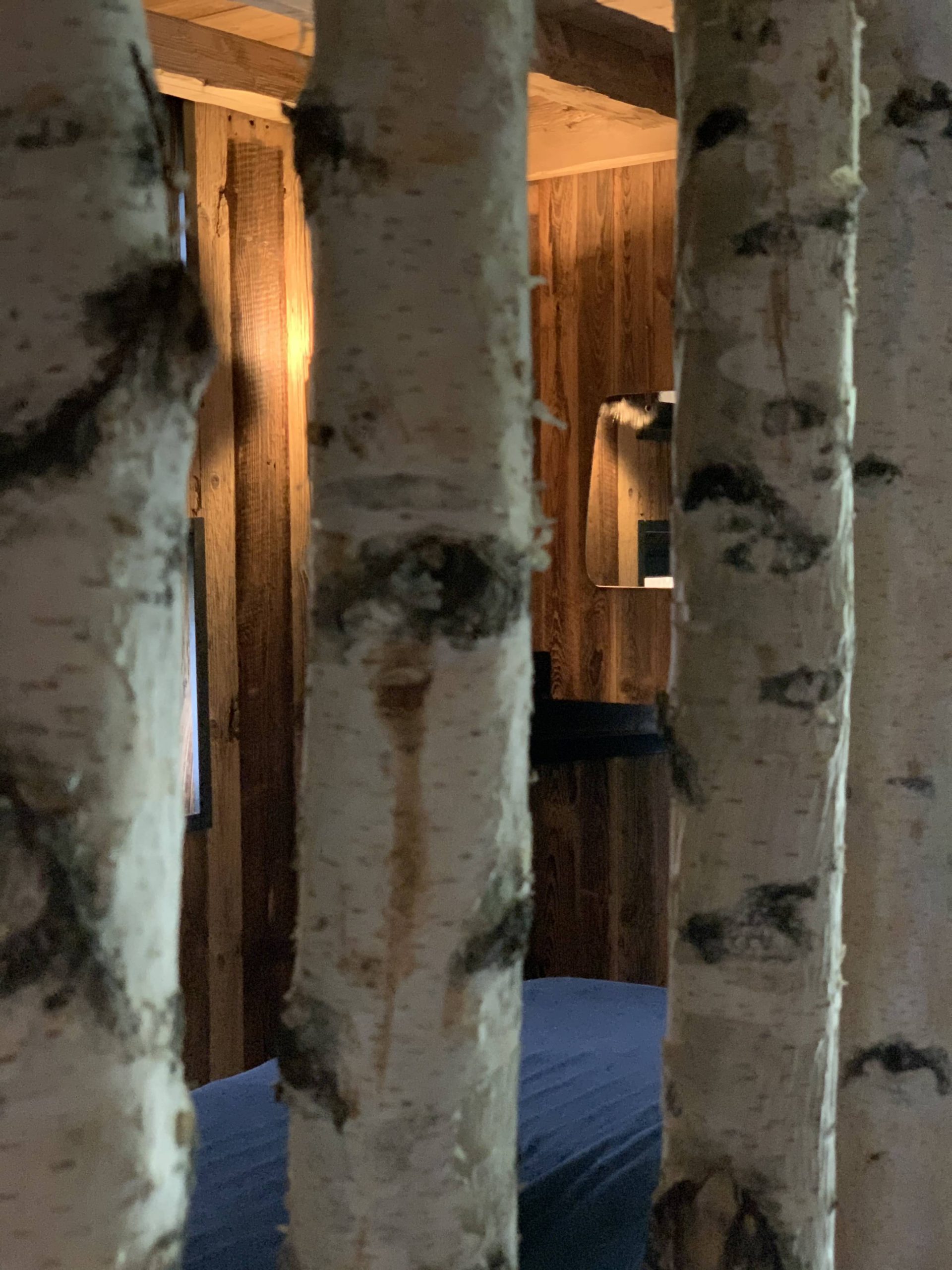 Espace détente massage bois arbre design